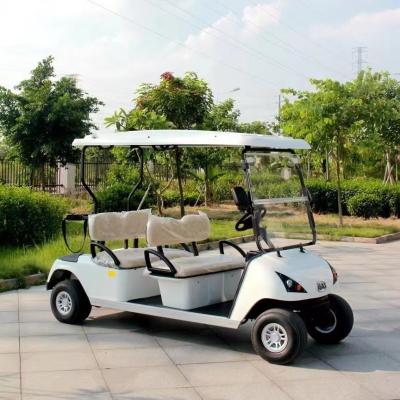 China 48V Electric Car Golf Cart  Passenger Electric Buggy Car Golf for sale