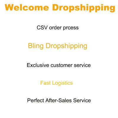 China Free Warehouse Blind Dropshipping Agent Professional Dropshipper From China To Worldwide With Sourcing And Inspection Service for sale