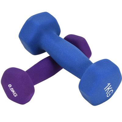 China Non-Slip Dumbbells Stretch Weightlifting Home Fitness Equipment Hand Weights Slimming Equipment Dumbbells for sale