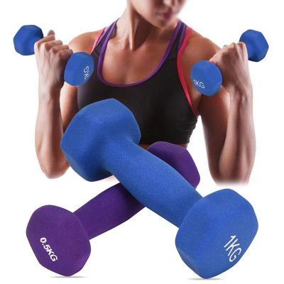 China Non-slip Matte Dumbbells Holder Weightlifting Home Fitness Equipment Weighs Hand Weights Slimming Dumbbell for sale