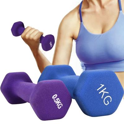 China 2021 Non-slip New Gym Hexagon Fitness Dumbbell Set Non-slip Workout Men/Women Exercise Sport Weights Body Building Equipment for sale