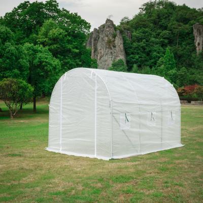 China Stable Structure Easily Assembled Agriculture Span Greenhouse Multi Span Tunnel Frame Film Green House Strawberry Greenhouse for sale