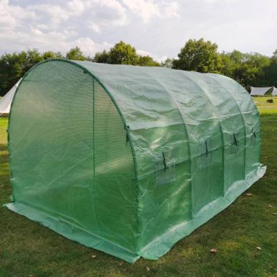 China Stable structure easily assembled sale tomato green house greenhouse agricultural hydroponics greenhouse hot frame for sale for sale