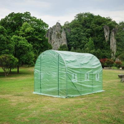 China Stable Structure Easily Assembled Greenhouse Cheap Price Tomato Hydroponic Film Greenhouse For Sale for sale