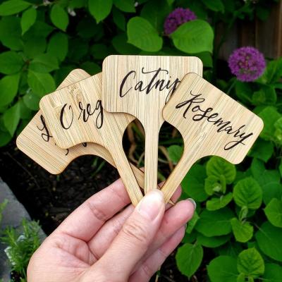 China Bamboo wood customized marker tray marker t-shaped labeling tool garden bamboo wood mark diy quiz plant mark wooden plant label for sale