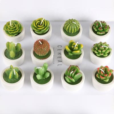 China Cement Basin With Cactus Plant Custom Creative Paraffin Candle Succulent Candle for sale