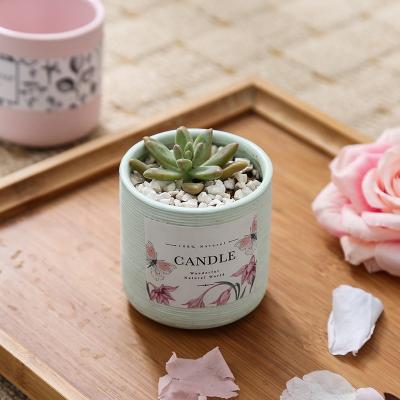 China Cement Basin With Popular Fashionable Succulent Candle Shape Ceramic Candle Jars for sale