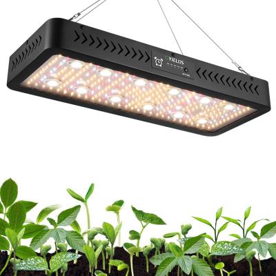 China Seed Starting 3600W Sunlike Hydroponic Indoor Cob Led Growing Light Full Spectrum For Lettuce Mushroom for sale