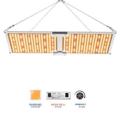 China Seed Starting Factory Sale Dimming Function Optimal Spectrum Grow Lamp 240W LED Grow Light Horticultural Plants Lamp for sale