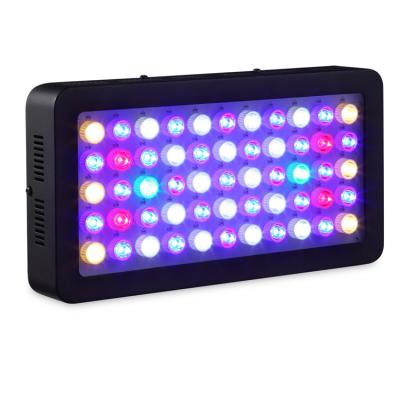 China Widely used in aquarium plant price 165w led aquarium light button dimming white blue LED light for freshwater plants for sale