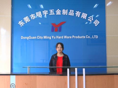 Verified China supplier - Dongguan Minghong Hardware Products Co., Ltd.