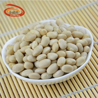 China Year-Round Availability Non-GMO Best Price Small White Kidney Flageolet Beans for sale