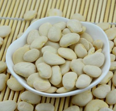 China Availability Non-GMO White Kidney Beans Year Round White Organic Small Protein for sale