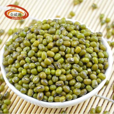 China Wholesale Mung Beans Export Green Gram Vigna Myanmar Beans Small Mung Beans for sale