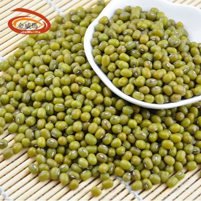 China wholesale premium quality mung bean grains vigna green medium beans all year round availability export northeast mung beans for sale