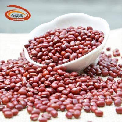 China Nutrition Year Round Availability Around Wholesale Grain Medium Sable Kidney Bean Waxer for sale