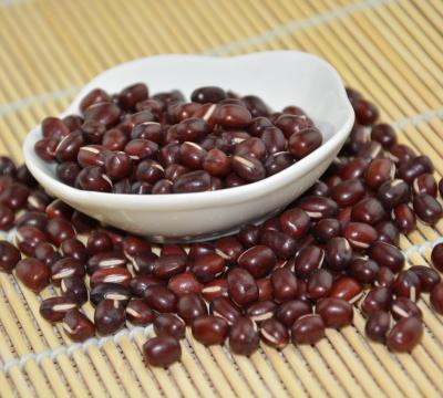 China Year-Round Red Adzuki Price Red Adzuki Kidney Beans Dwarf Bean Bean Availability for sale