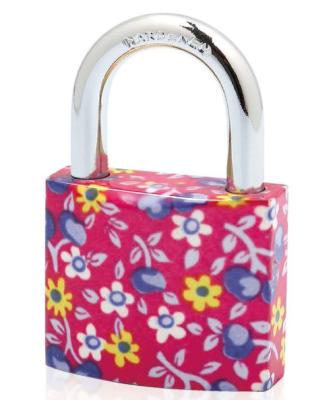 China Painted Plating Padlock High Security Padlock Pin Tumbler Structure All Sizes for sale