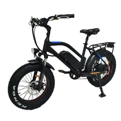 China Aluminum alloy motor 750W rear hub motor foldable electric bike other hot sale electric bike v brake moutain bikes bicycle for sale