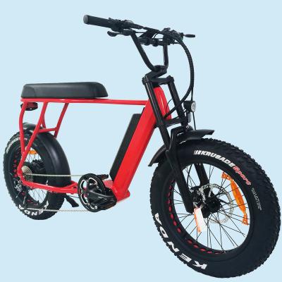 China Hot sales aluminum alloy 20inch fat tire mountain bike motor ebike adult electric rear fat tire 1000W electric bicycle other electric bike for sale