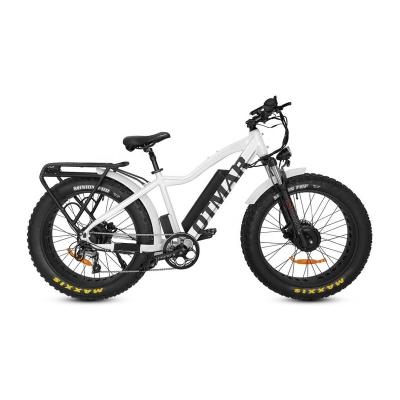 China Aluminum alloy 26 drive electric motor dual tire electric bicycle big battery electric bicycle torque sensor mountain ebike adult for sale