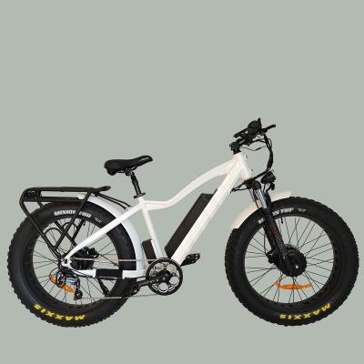 China Aluminum alloy factory selling wholesale 26inch double motor 48V750W electric bicycle motor big tire electric mountainbike beach ebike for sale