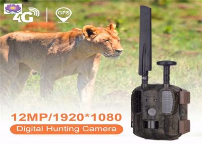 China 2019 Popular Night Vision Hunting Camera Motion Sensor Outdoor Waterproof Wildlife Digital Hunting Scouting Trail Camera for sale