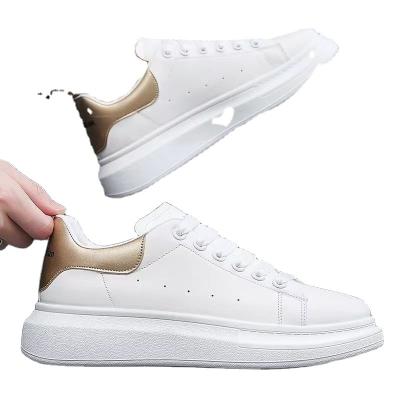 China Cushioning Walking Style SB Fashion Stain Luxury Men 2022 New And Designer Shoes Other Fashionable Shoes Used Branded Shoes for sale