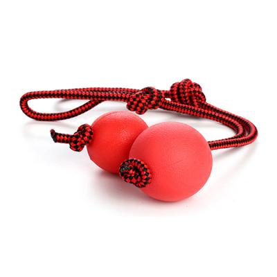 China Best Type Best Sustainable Design Toys Tennis Ball Hard Tennis Ball On A String With Pet for sale