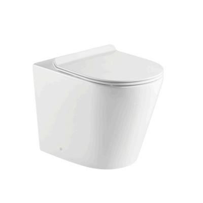 China Wholesale Hidden Ceramic Tank ORTONBATH New Style Bathroom Washdown P-trap Water Saving Back to Wall Toilet for sale