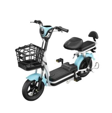 China Luxury xunchi Adult Electric Bicycle Two-wheeled Electric Scooter Bicycle Style Electric Bicycle High Speed New 48V Luxury Brushless Op for sale