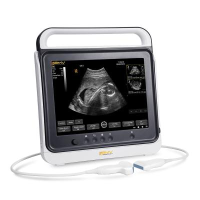 China Hospital ; Clinic; Farm BMV PT50A Touch Screen Vet Ultrasound Scanner For Cats for sale