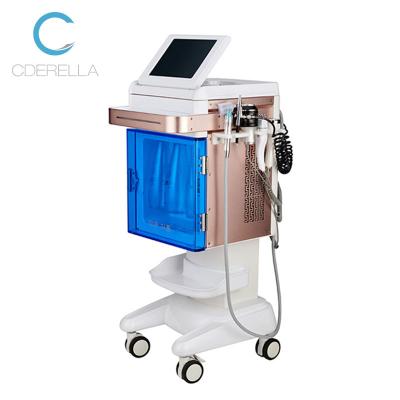 China 2021 Exfoliators Salon Hydra Multifunctional Water Facial Dermabrasion Machine/Hydraulic Microdermabrasion Machine for sale