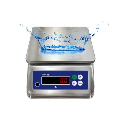 China Escala de acero inoxidable de 6 kg de peso máximo con doble pantalla e IP68 de resistencia al agua en venta