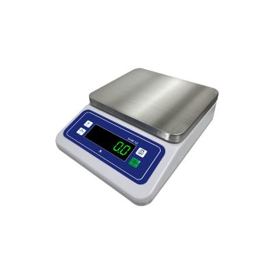 China Product Idea 2024 304 Stainless Steel Balance Scale 6KG Maximum Range Unit lb oz g for sale