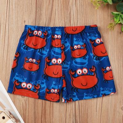 China Wholesale Breathable Swimwear For Boys Swimming Shorts Summer Kids Boys Casual Swim Trunk for sale