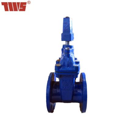 China General Ductile Iron DN65-DN300 Resilient Seated Gate Valve For Sewage And Petroleum Made In Tianjin China for sale