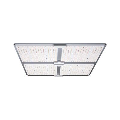 China Seed Seed Planting New Greenhouse Listing Garden Plant Growing Lamping Full Spectrum Lamp Quantum Panel for sale