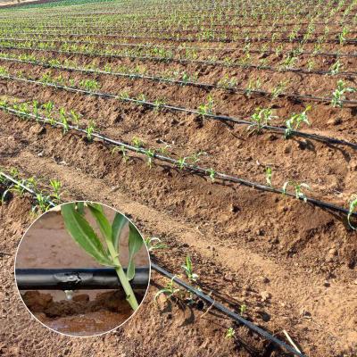 China Agricultural Farmland Irrigation System Agricultural Drip Tape System Irrigation Factory Irrig Hose Good Quality Drip Irrigation Tape for sale