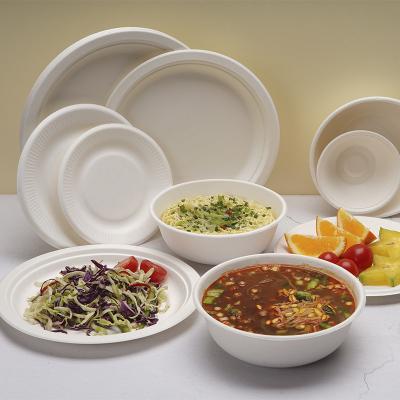 China Household Dinner Barbecue Fast Food Bagasse Compostable Biodegradable Disposable Dinner Dish for sale