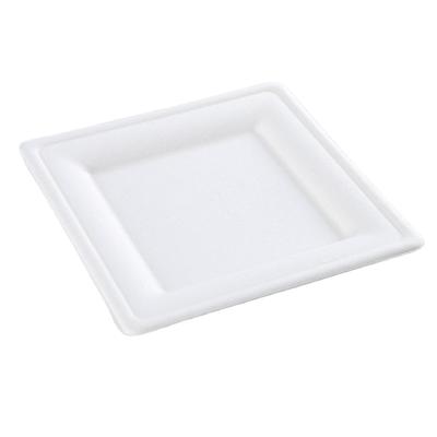 China Compostable Disposable Disposable Disposable Plates Sugar Cane Bagasse Tableware Biodegradable Paper Pulp Paper Pulp Dishes for sale