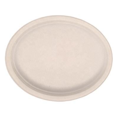 China Biogedrable Compostable Customized Sugarcane Bagasse Tableware Pulp Food Container Paper Pulp Dish for sale