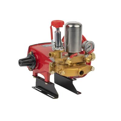 China Hotels Model Plunger Pump 30 for sale