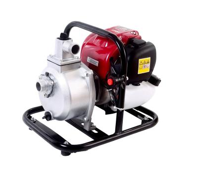 China Hotels Model Plunger Pump 30 for sale