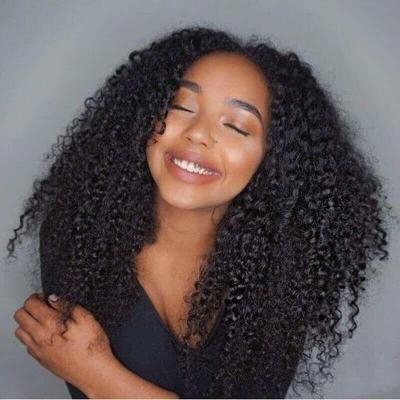 China Other Wholesale HD Virgin Raw Indian Hair Lace Front Curly Curly Human Hair Wig Women Wig Swiss Curly Lace Frontal Full Wig for sale