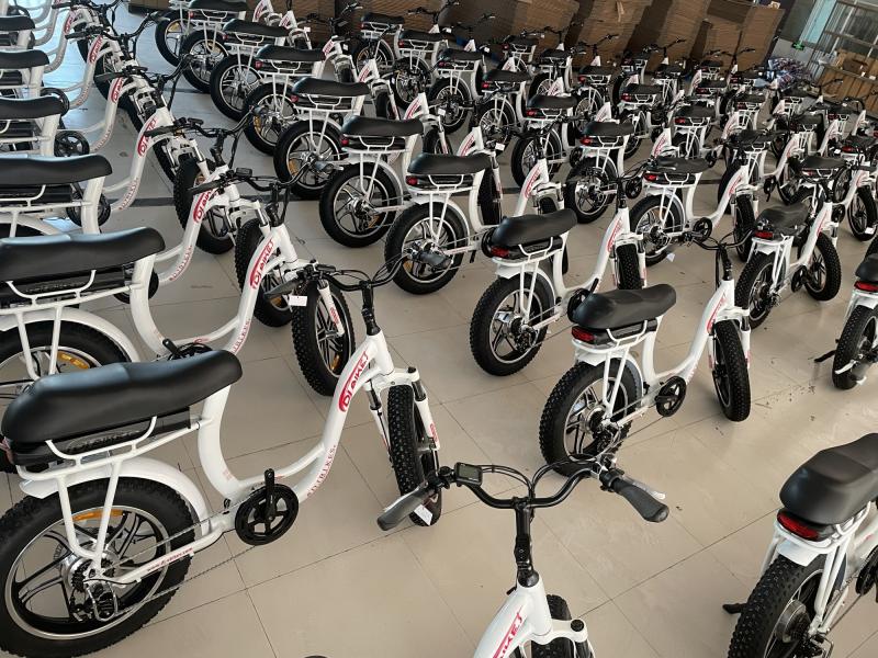 Verified China supplier - Huzhou Thunder Electric Bike Co., Ltd.