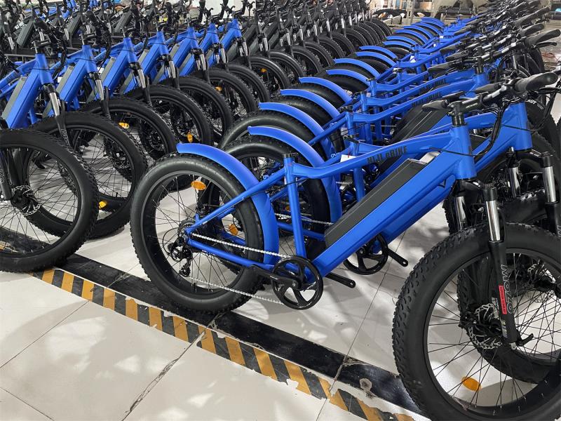 Verified China supplier - Huzhou Thunder Electric Bike Co., Ltd.