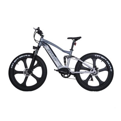 China Lasloze Frame Electric Fat Tire Bike Volle ophanging 750W 26 inch Fat Tire Electric Bike Te koop