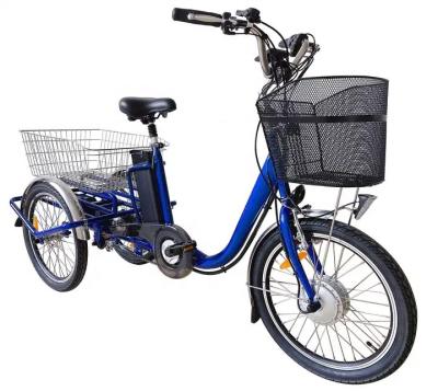 China 36V 250W Motor 3 Wheel Cargo Bike Tricycle Electric For Adult Derailleur 3 Speed for sale