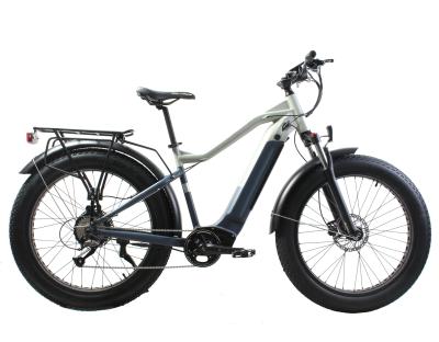 China 9 Speed Electric Bike 26